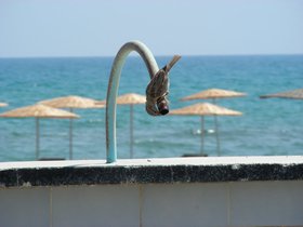 09-0831-Silifke (148).JPG